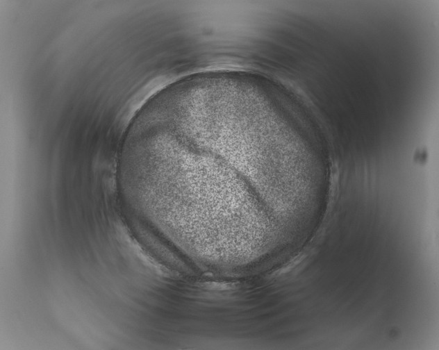 X0000111661409200908071422