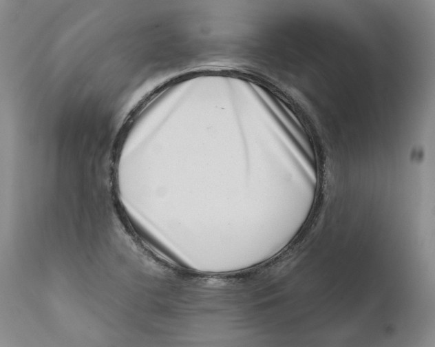 X0000111661412200908071422