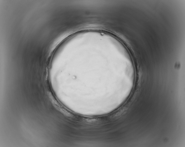 X0000111661413200908071422