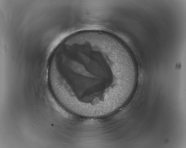 X0000111661414200908071422