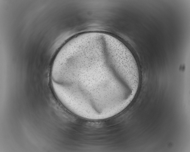 X0000111661415200908071422