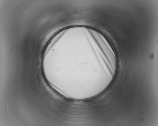 X0000111661416200908071422