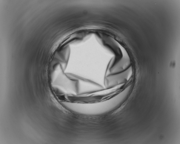 X0000111661417200908071422