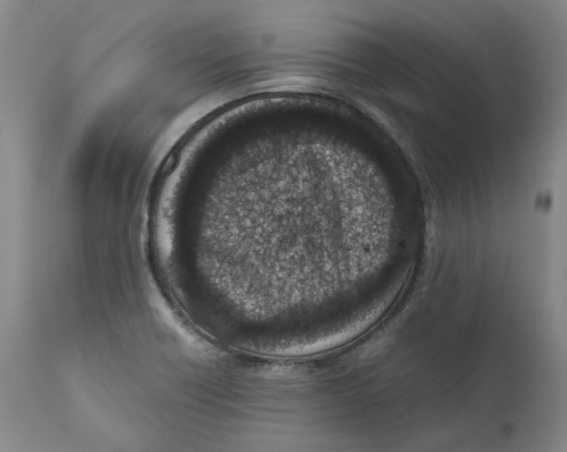 X0000111661418200908071422