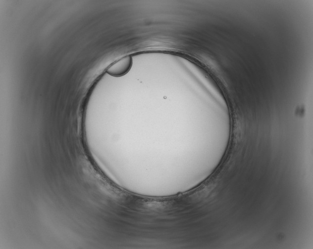 X0000111661419200908071422