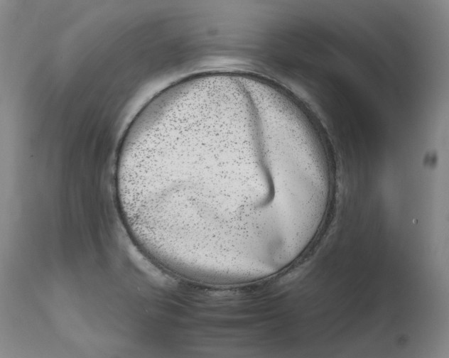 X0000111661421200908071422