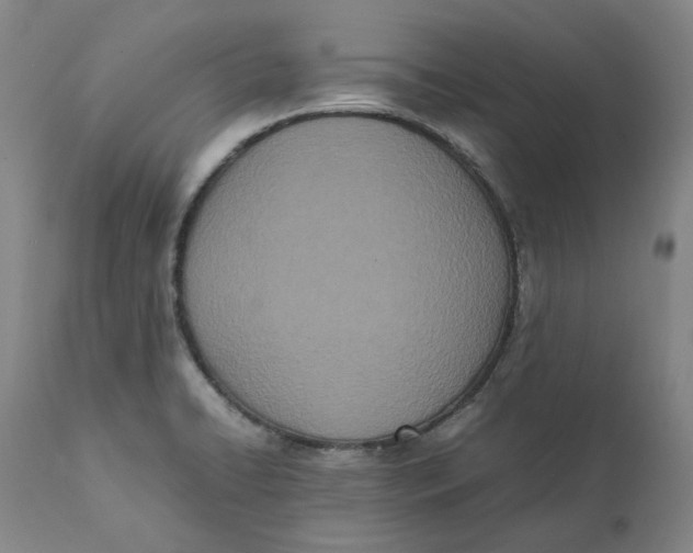 X0000111661422200908071422