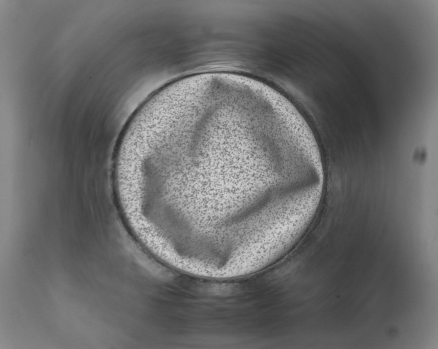 X0000111661423200908071422