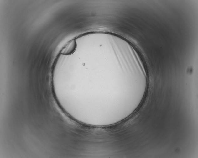 X0000111661424200908071422