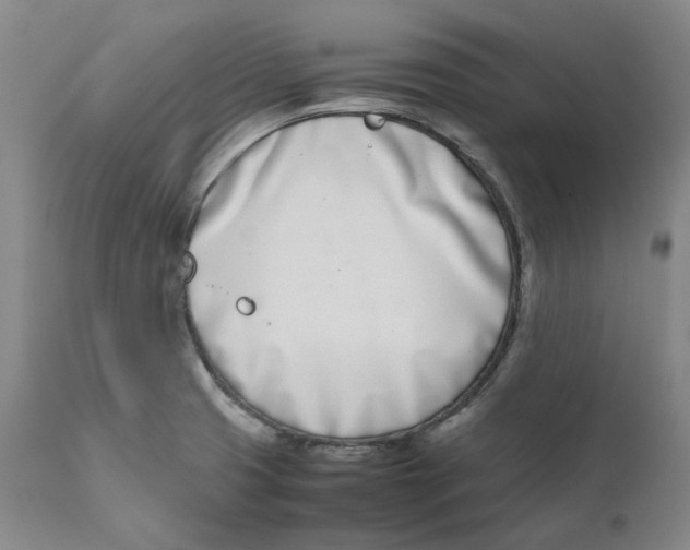 X0000111661425200908071422