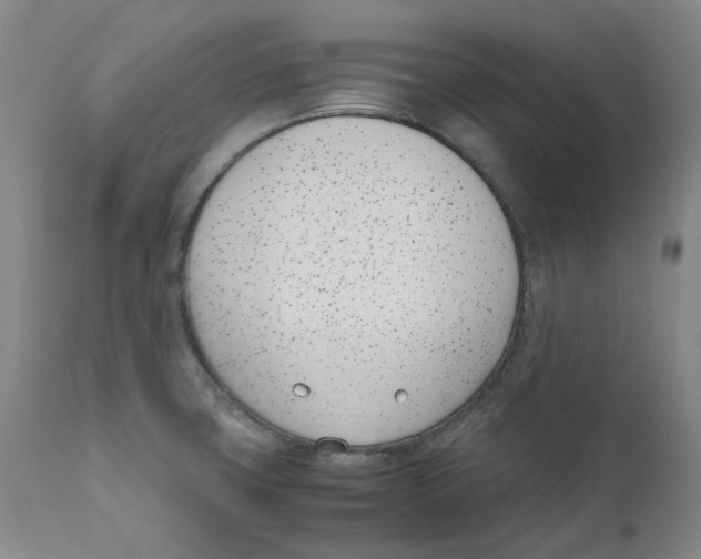 X0000111661427200908071422