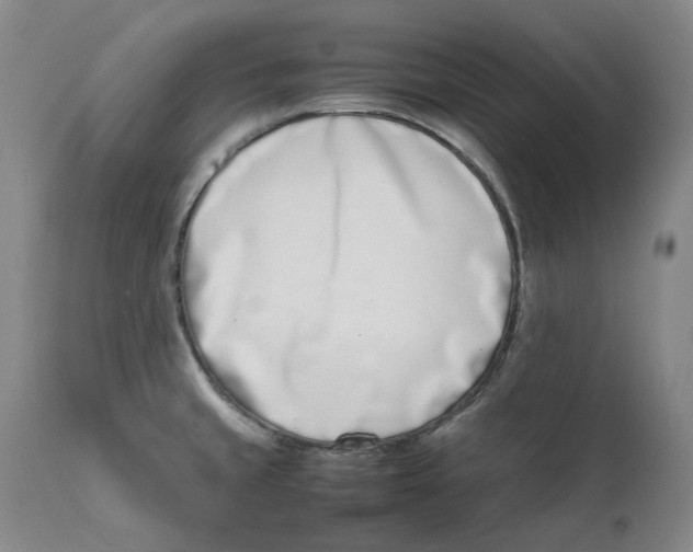 X0000111661429200908071422