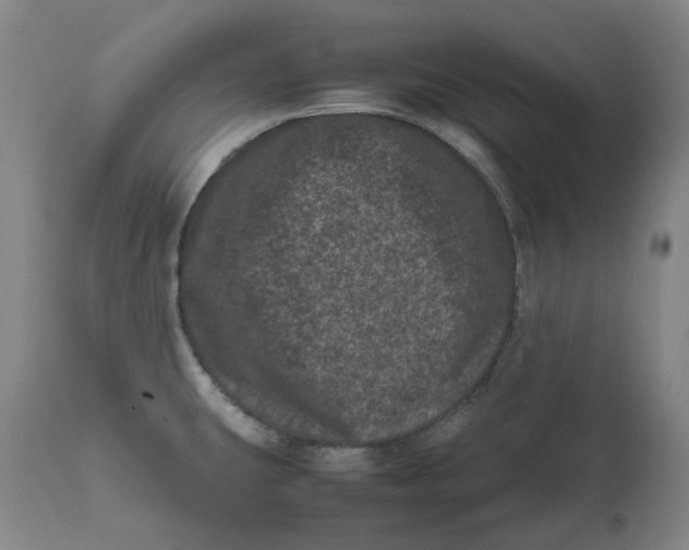 X0000111661431200908071422