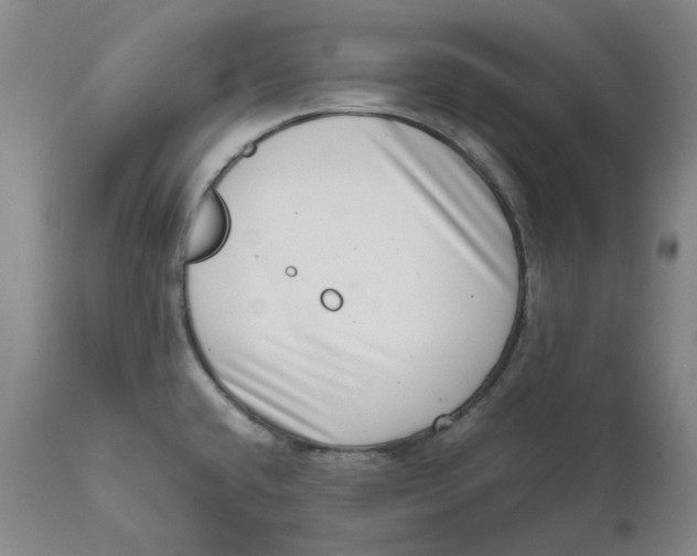 X0000111661432200908071422