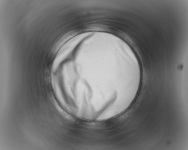 X0000111661433200908071422