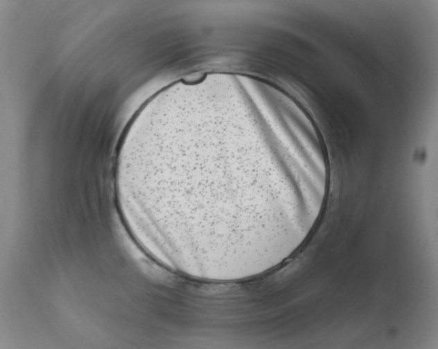 X0000111661434200908071422