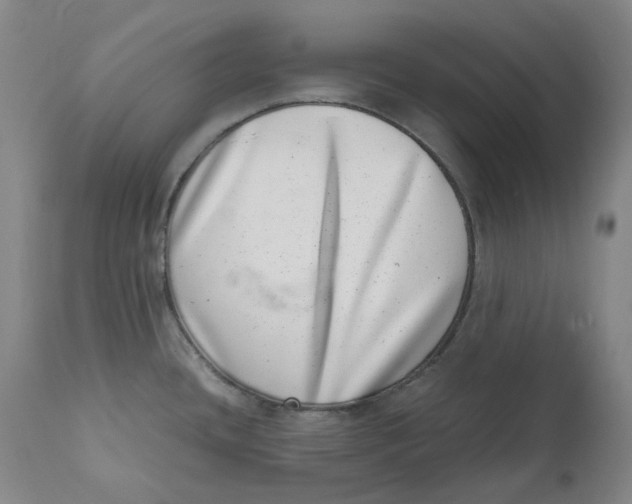 X0000111661436200908071422