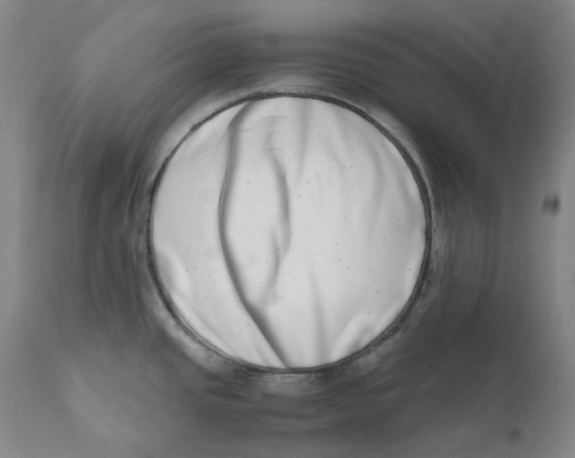 X0000111661437200908071422