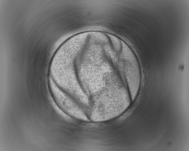 X0000111661438200908071422