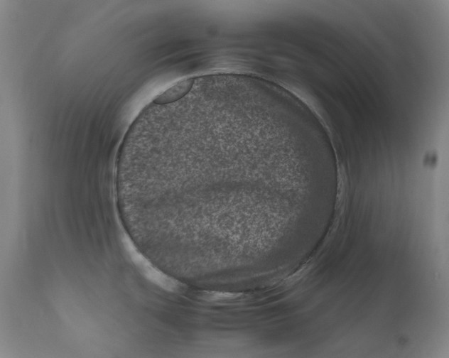 X0000111661439200908071422