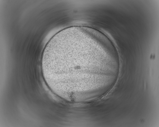 X0000111661440200908071422