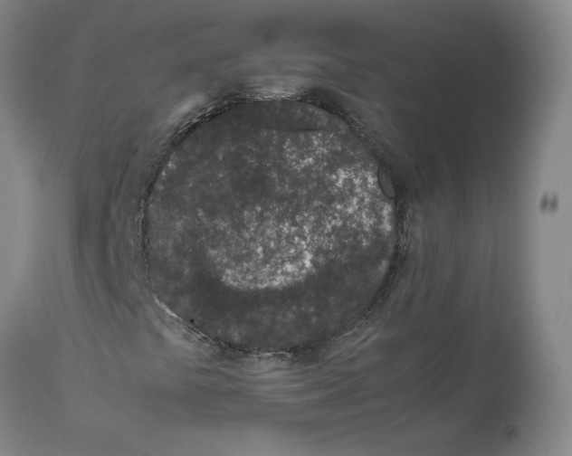 X0000111661441200908071422