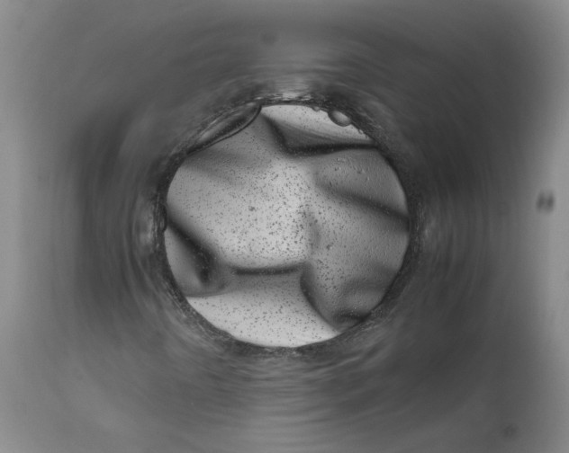 X0000111661442200908071422