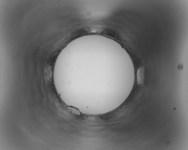 X0000111661443200908071422