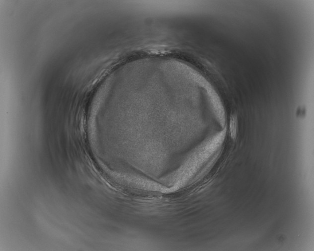 X0000111661444200908071422