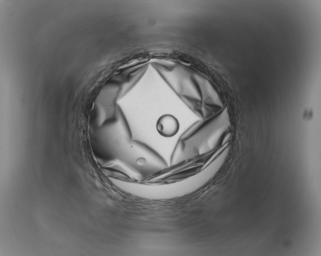 X0000111661445200908071421