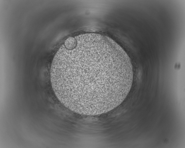 X0000111661446200908071421