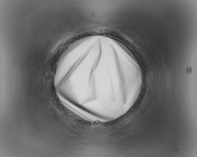 X0000111661447200908071421