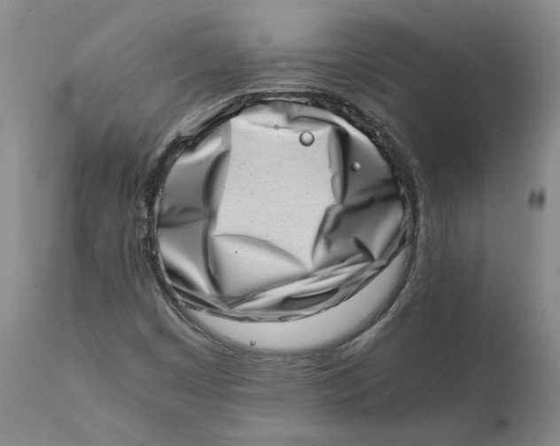 X0000111661449200908071421