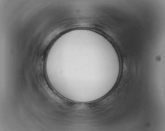 X0000111661450200908071421