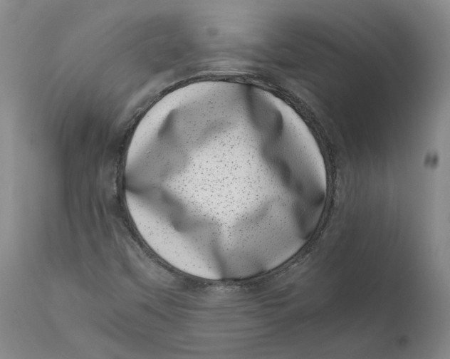 X0000111661451200908071421