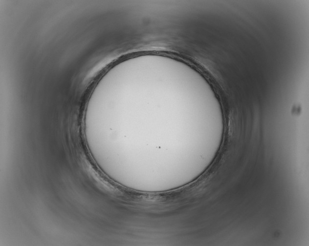 X0000111661452200908071421