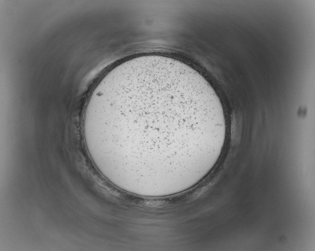 X0000111661453200908071421