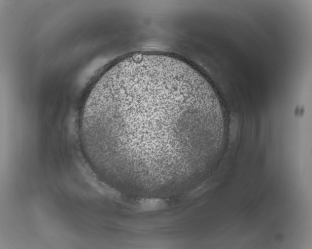 X0000111661454200908071421