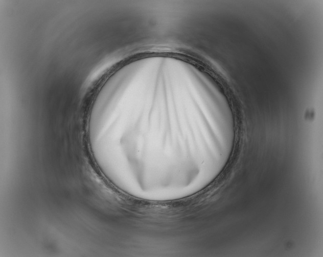 X0000111661456200908071421