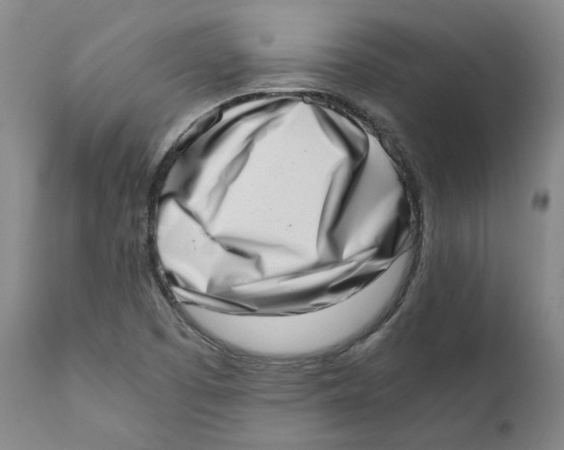 X0000111661457200908071421