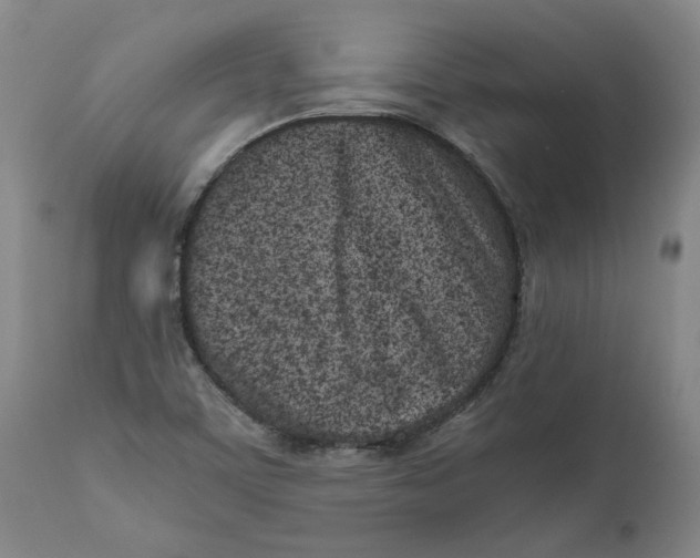 X0000111661459200908071421