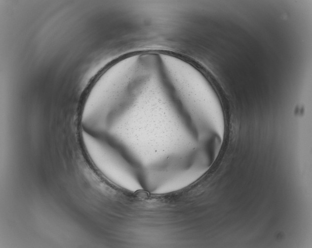 X0000111661460200908071421