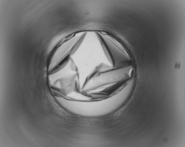 X0000111661461200908071421