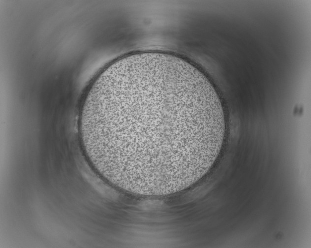 X0000111661462200908071421