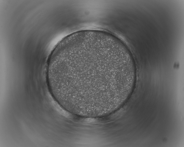 X0000111661463200908071421