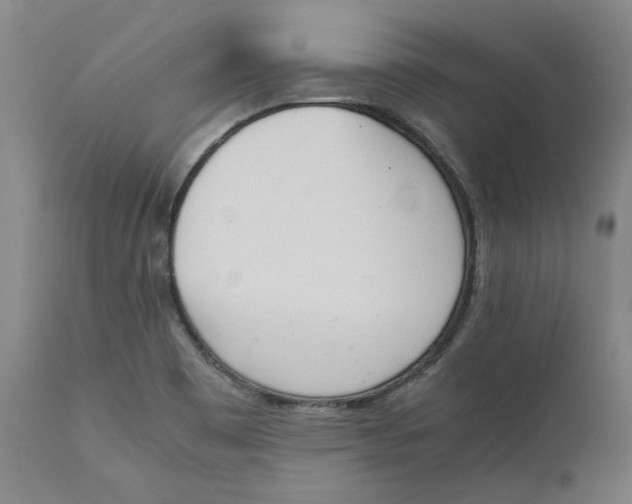 X0000111661465200908071421