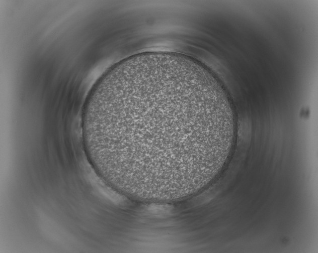 X0000111661466200908071421