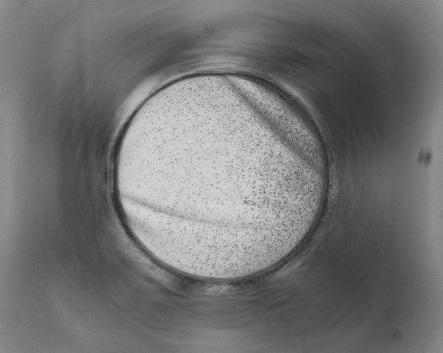 X0000111661467200908071421