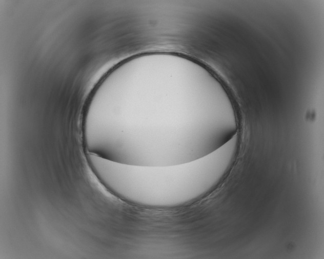 X0000111661468200908071421