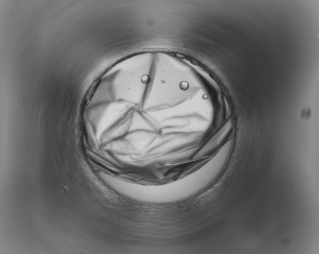 X0000111661469200908071421